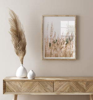 Country Pampas Grass III