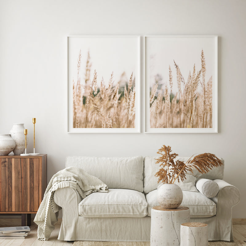 Country Pampas Grass II