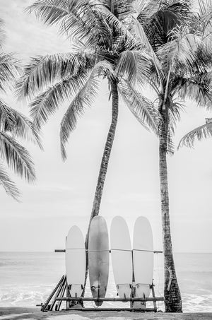 Island Surfboards II