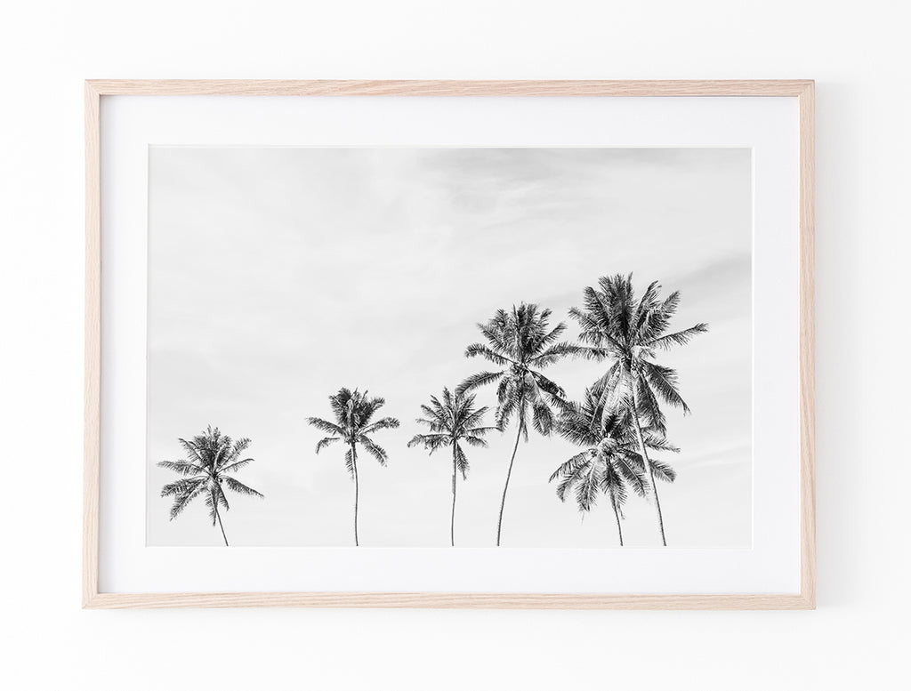 Island Palms II