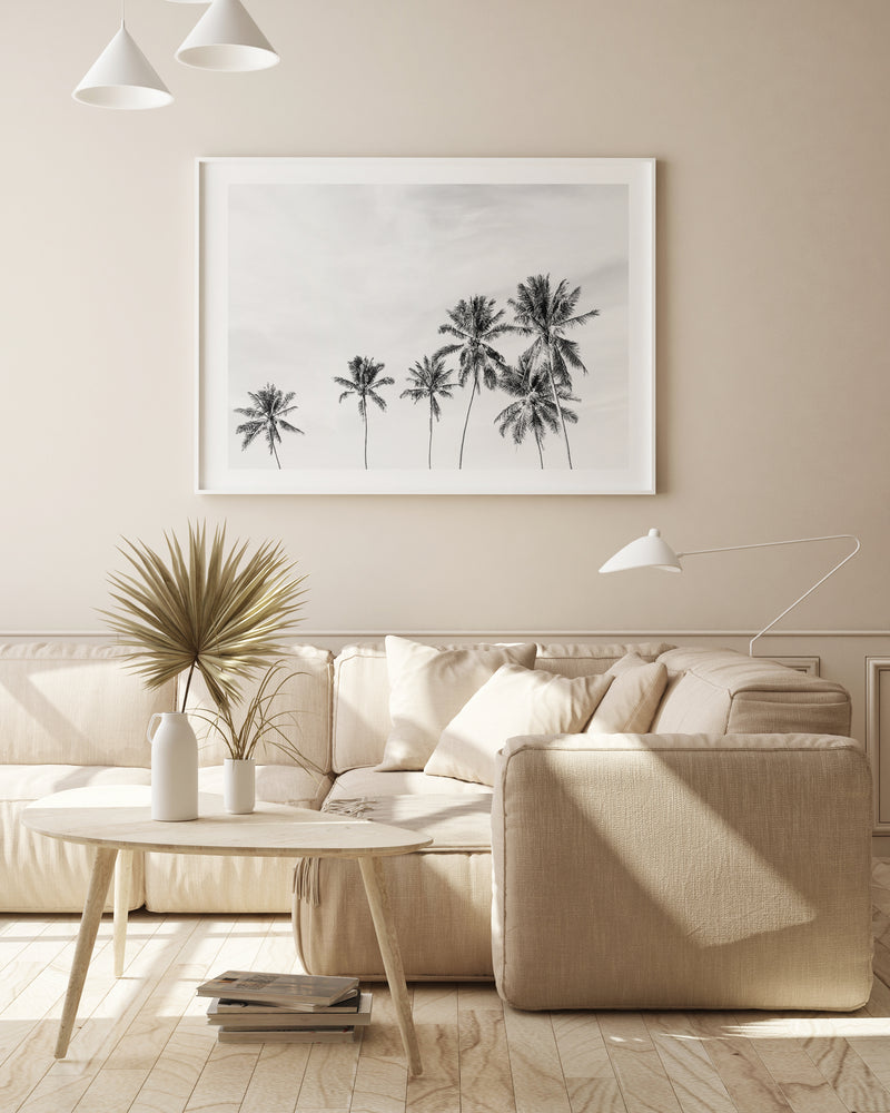 Island Palms II