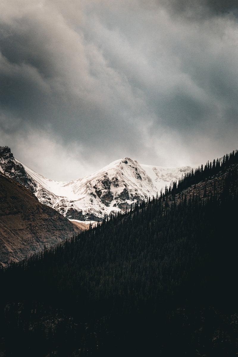 Moody Mountains