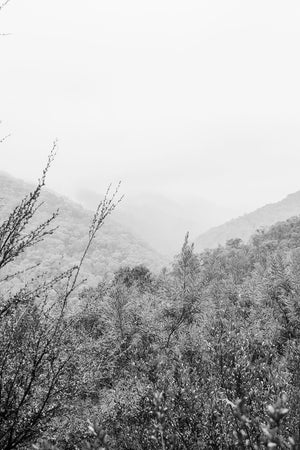 Mount Bogong Hills