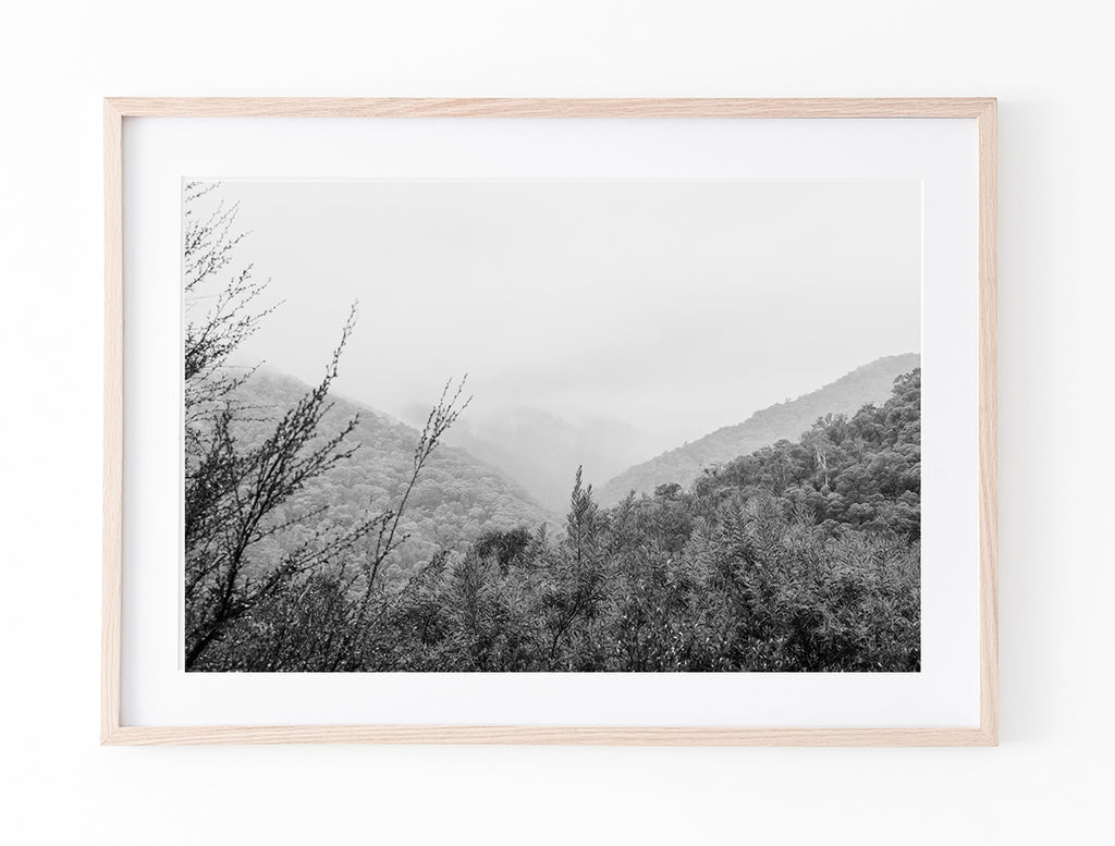 Mount Bogong Hills II