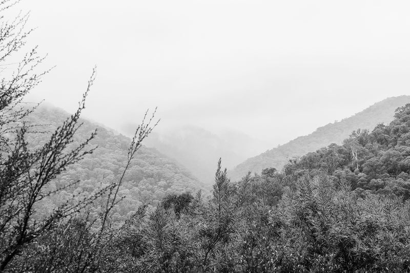 Mount Bogong Hills II