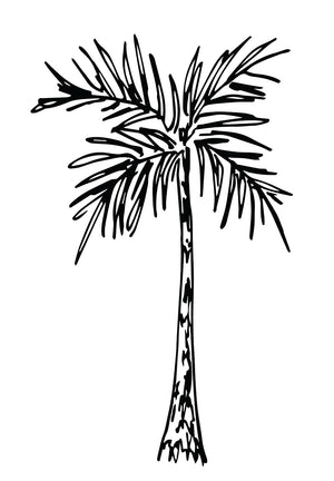 Palm Tree Art