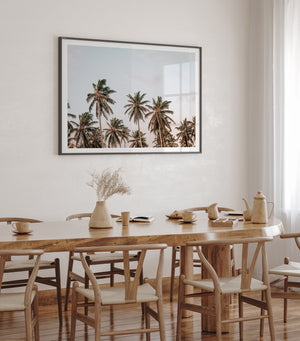 Palm Breeze