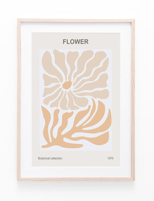 Peach Flower Poster