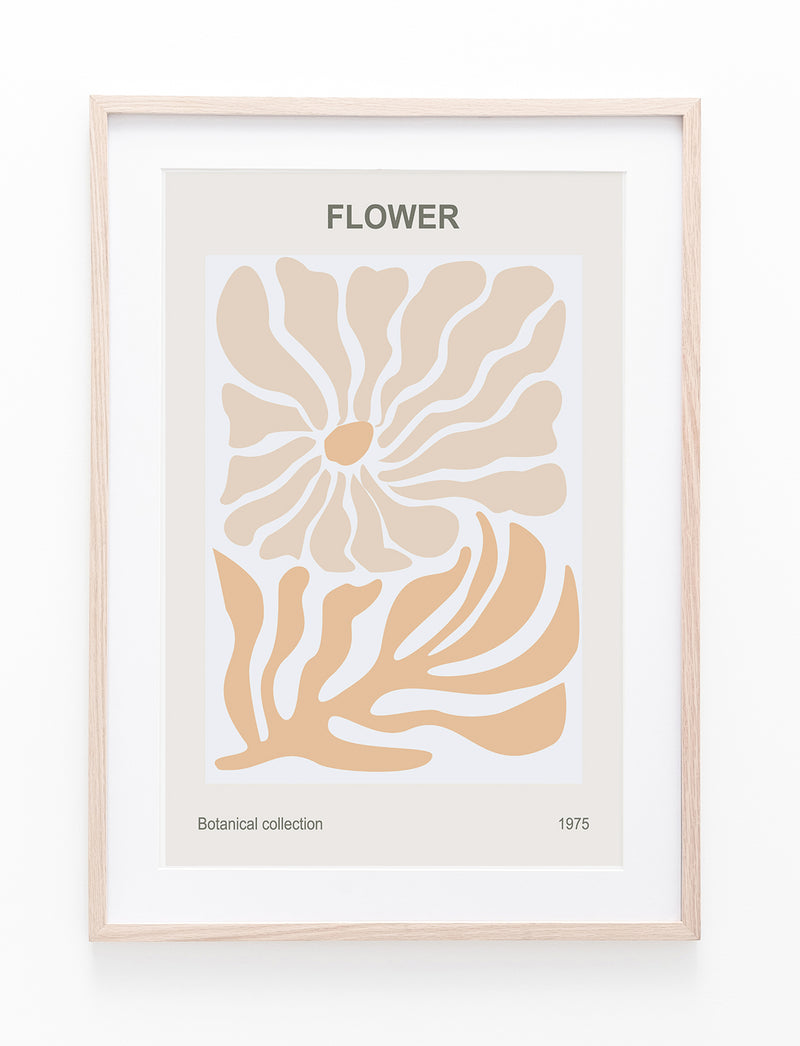 Peach Flower Poster