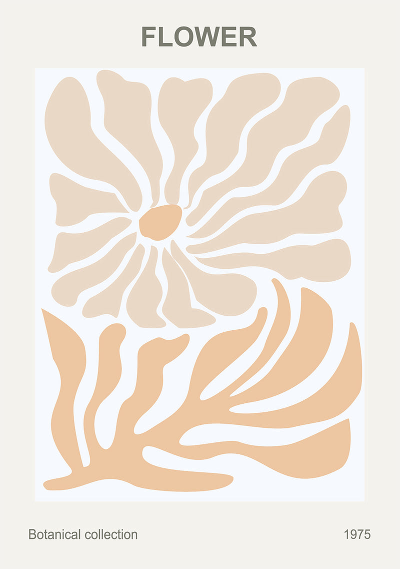 Peach Flower Poster