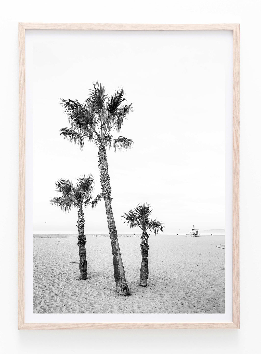 Venice Beach Palm Trees