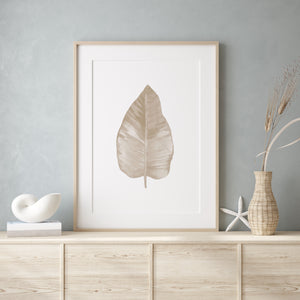 Beige Leaf