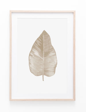 Beige Leaf