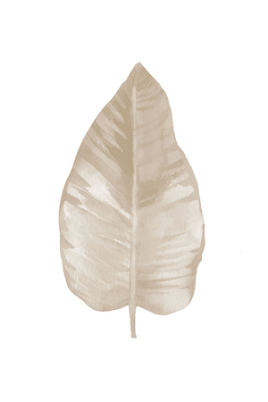 Beige Leaf