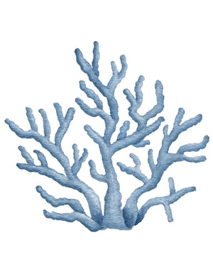 Blue Coral