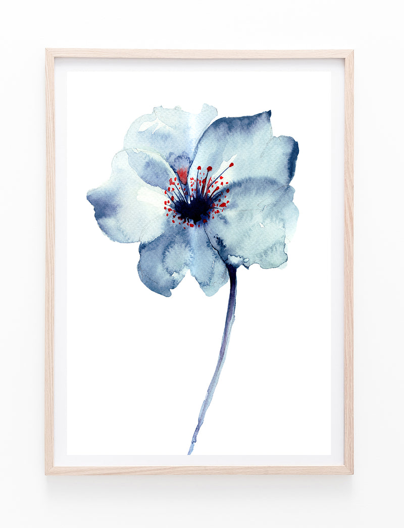 Blue Flower