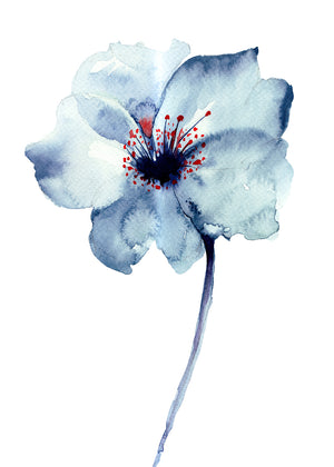 Blue Flower