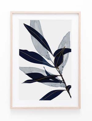 Blue Gum Leaves II