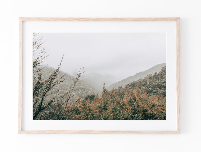 Bogong Hills II - Victoria