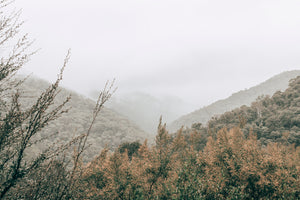 Bogong Hills II - Victoria