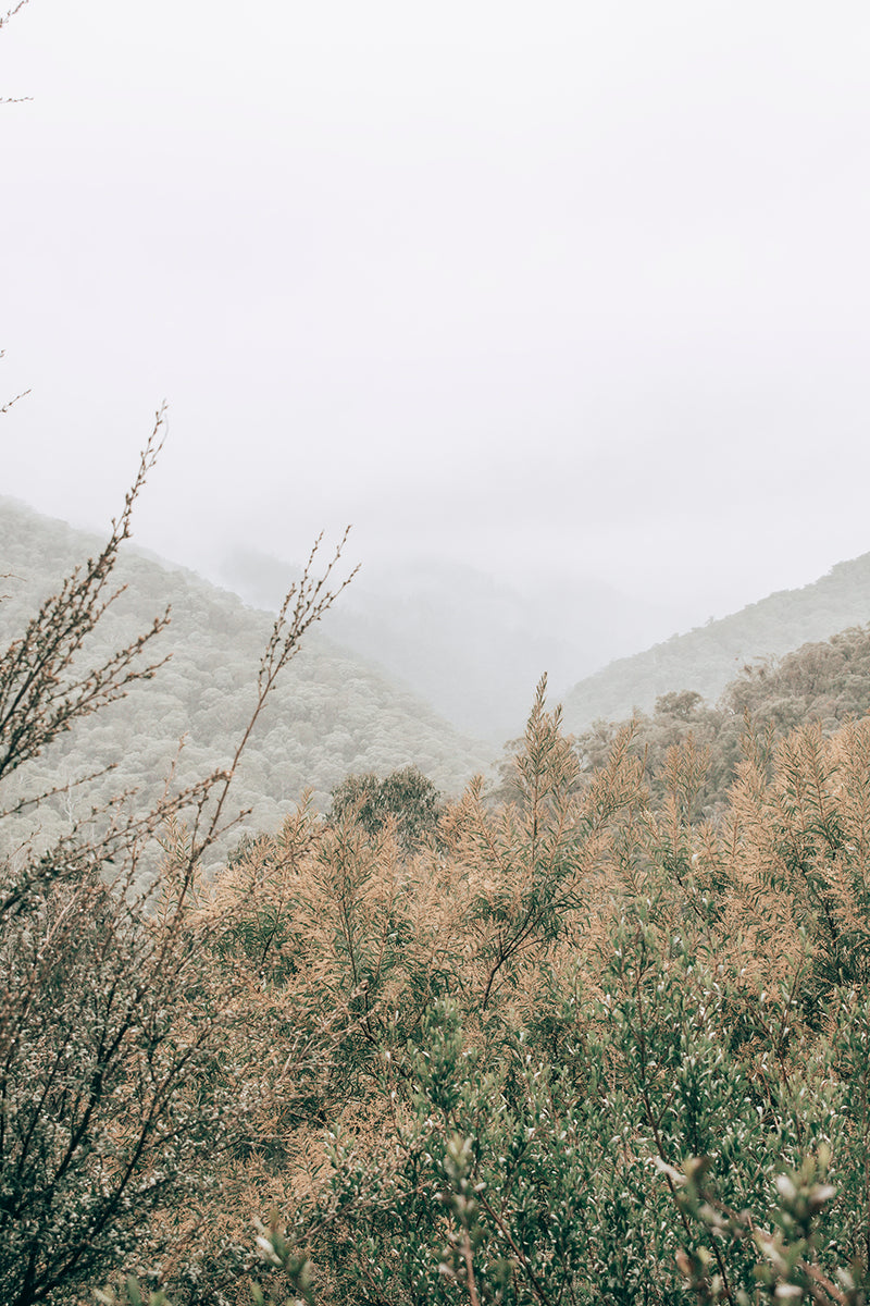 Bogong Hills - Victoria