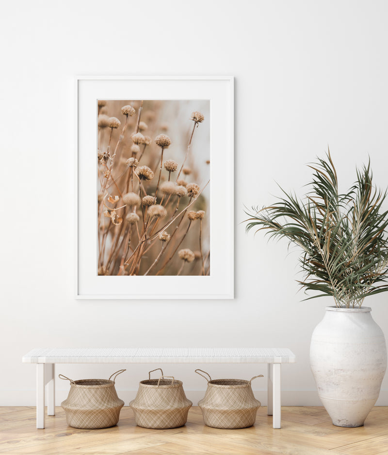 Dried Flower Grass