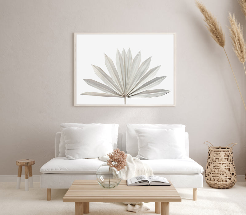 Dried Palm Fan II