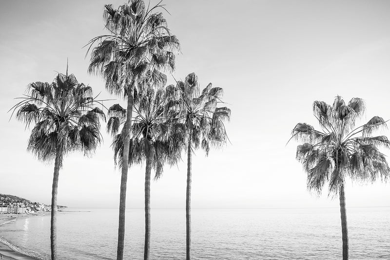 Laguna Palms III