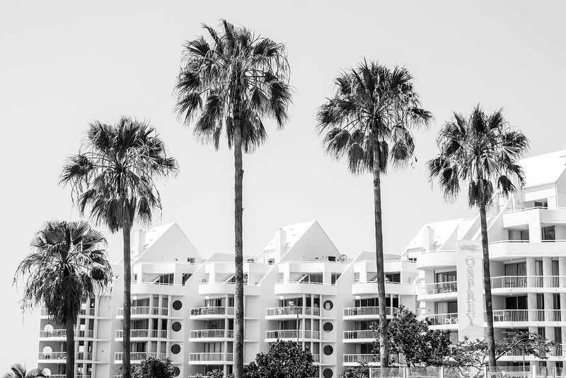 Osprey Palms