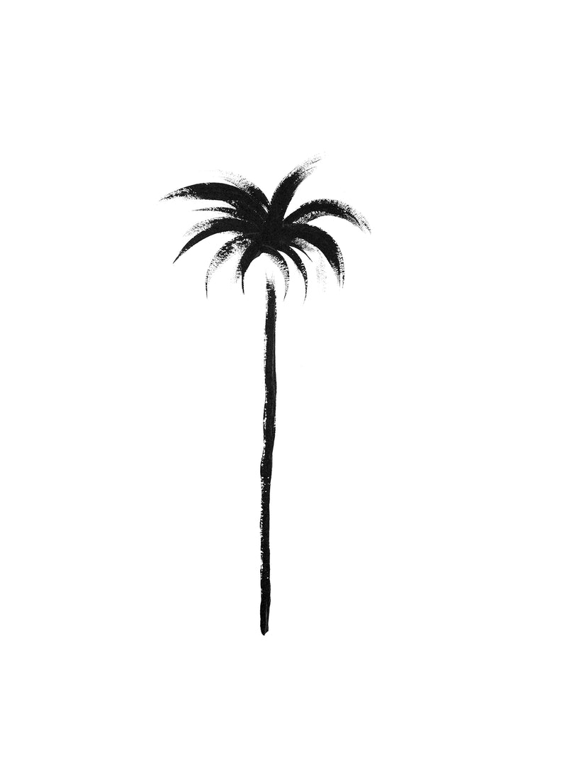 Black Silhouette Palm