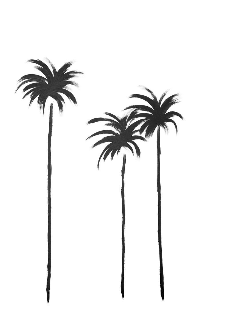 Painted Palms