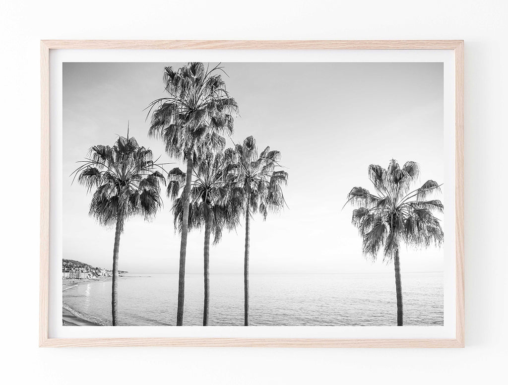 Laguna Palms III