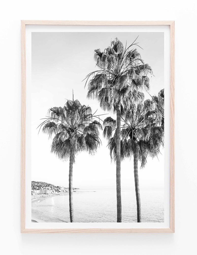 Laguna Palms