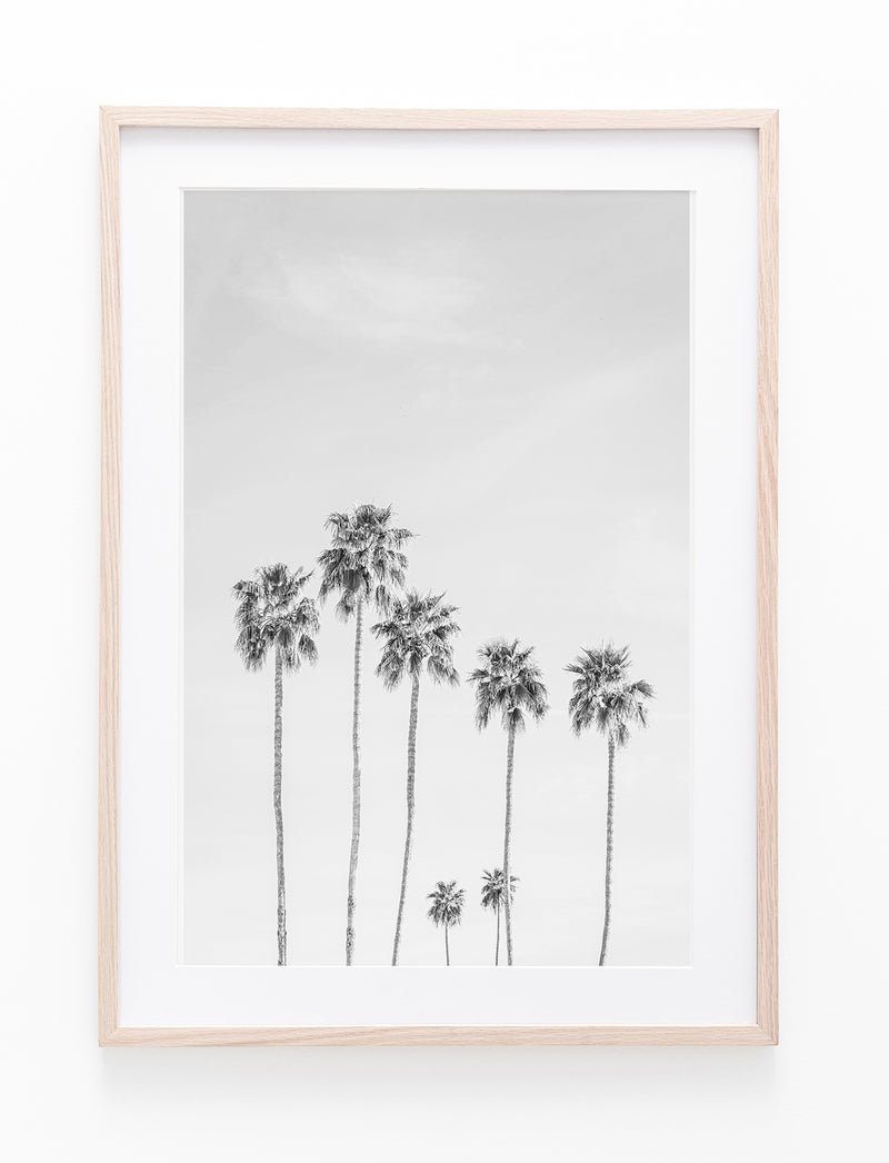 LA Palms II