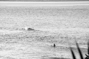 Lone Surfer