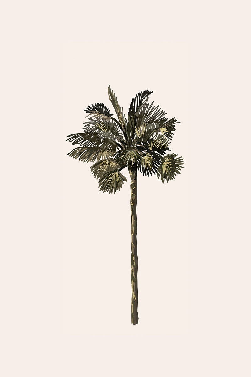 Luxe Palm III