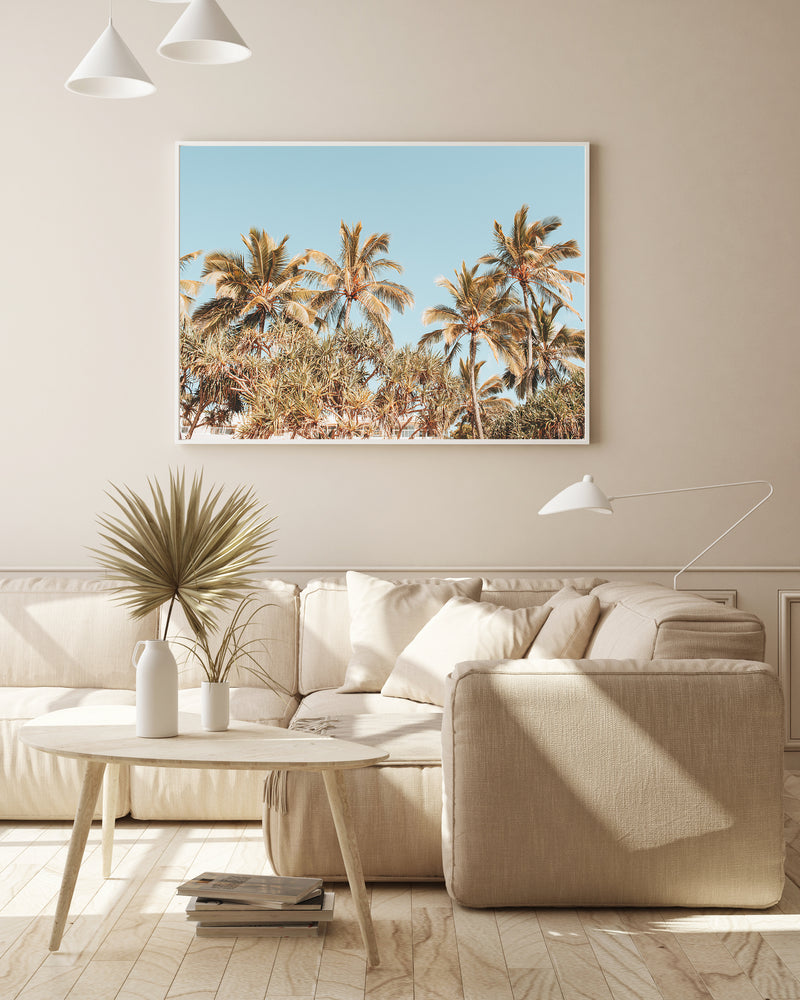 Noosa Palms