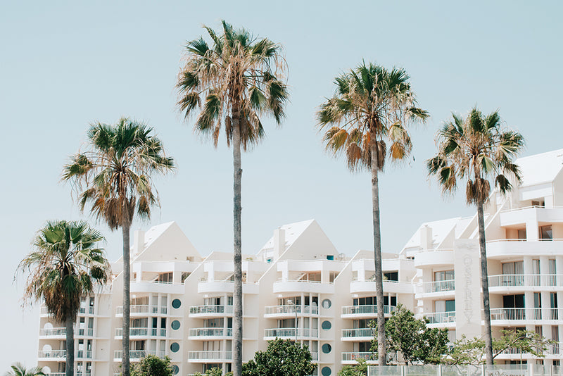 Osprey Palms II