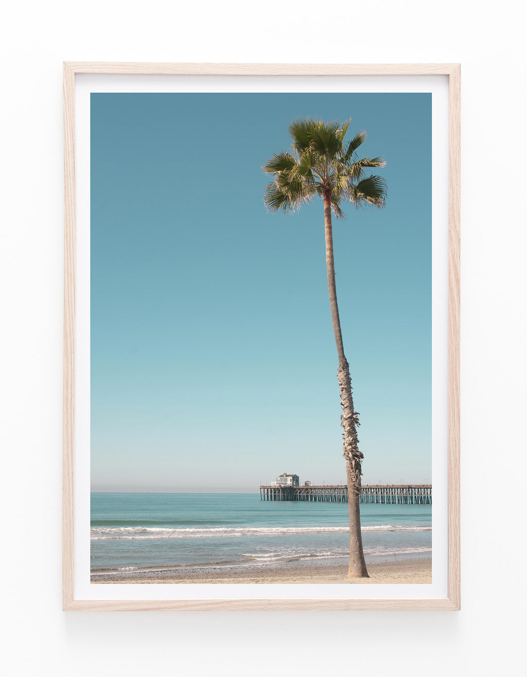 Palm and Pier