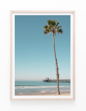 Palm and Pier