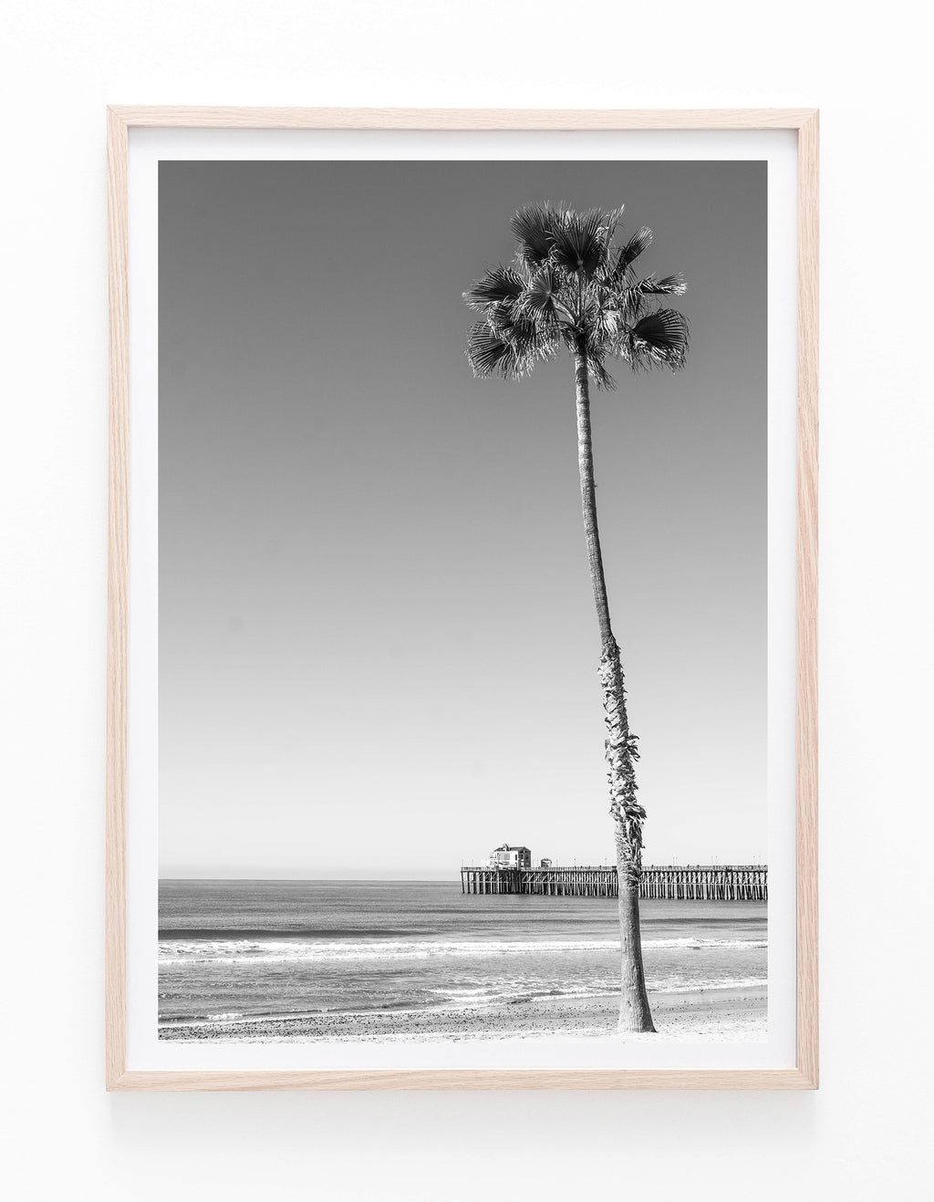 Palm and Pier II