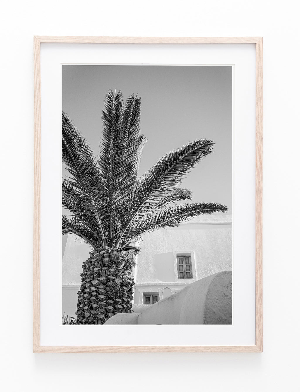 Santorini Palm II