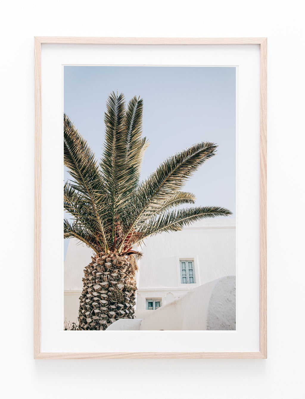 Santorini Palm