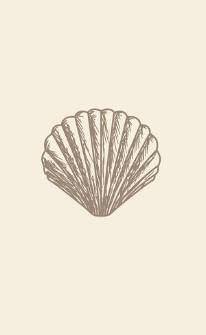 Sea Shell