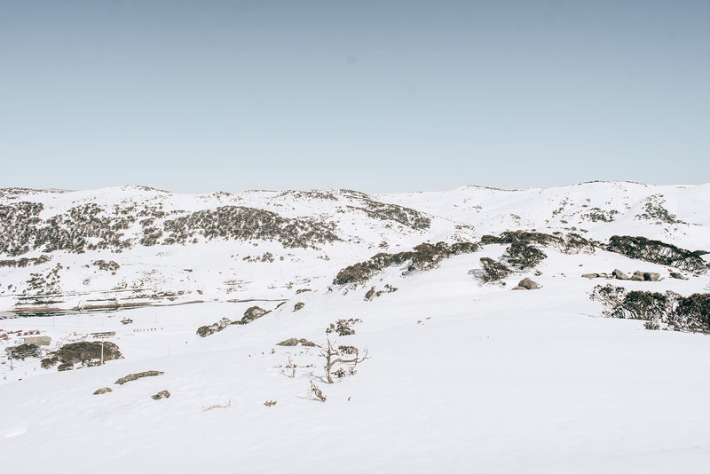 Snow Fields