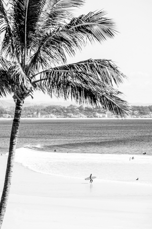 Snapper Rocks Surfer