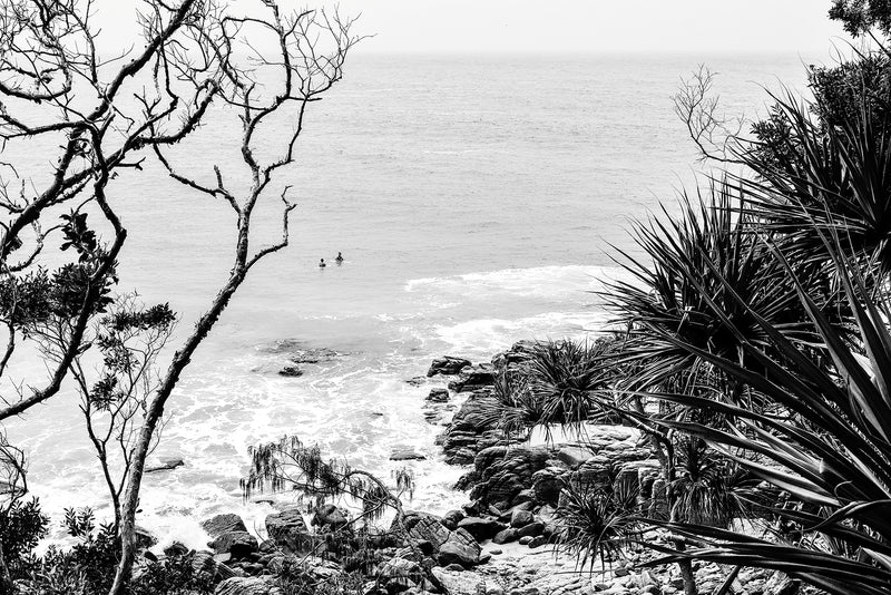 Tea Tree Bay Surfers