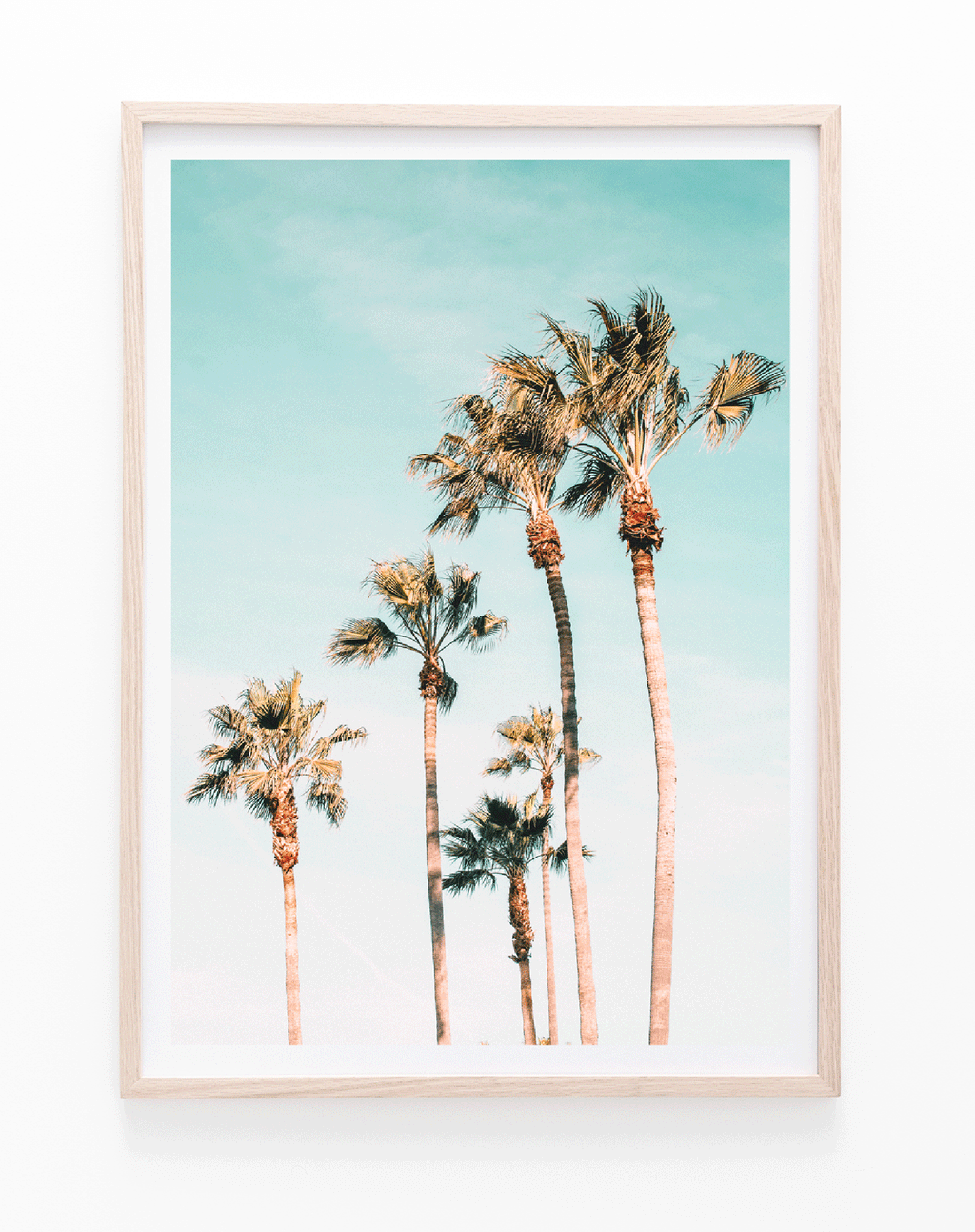 Beachy Palms