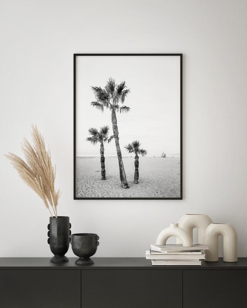 Venice Beach Palm Trees