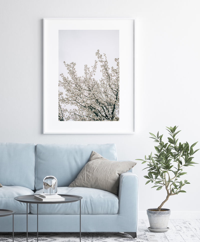 White Blossom Tree II